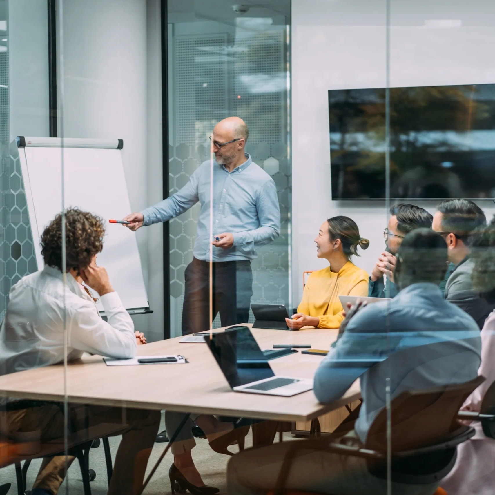 Professionals engaged in structured development and training